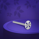 Elongate Pedicure Disc PODODISC EXPERT S And Set Of Disposable File