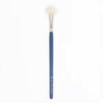 VICTORIA GROSU - BRUSH H1