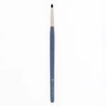 VICTORIA GROSU - BRUSH MS1