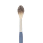 VICTORIA GROSU - BRUSH S3