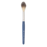 VICTORIA GROSU - BRUSH TC1
